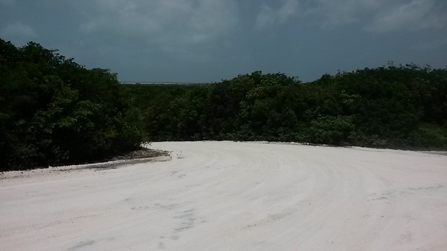20150626_120619