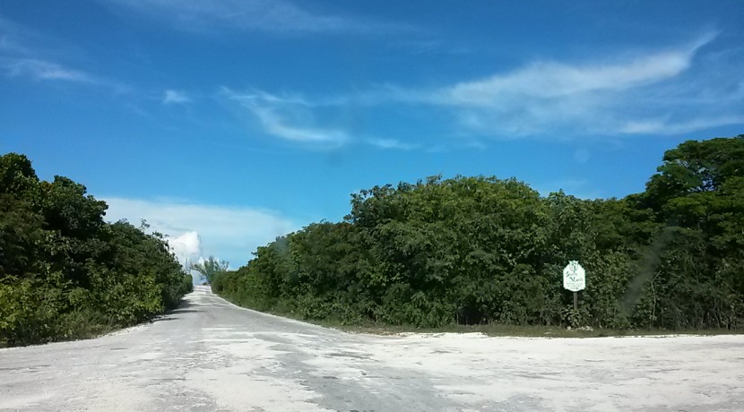 20150922_163312